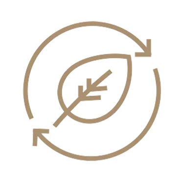 v-shipping - efficiency and impact - icon gold V-shipping efficiency and image - icon gold